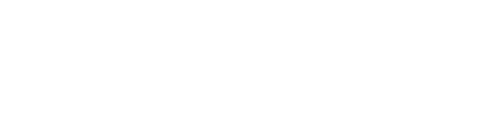 ICPA — The International Protocol Academy of Japan